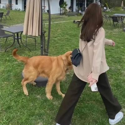 疯狂轮滑